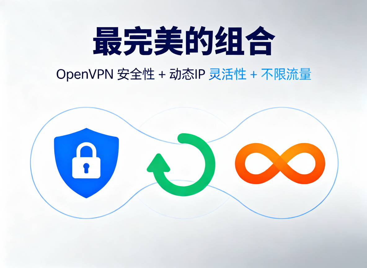 不可能的组合：OpenVPN 安全性 + 动态IP 灵活性 + 不限流量