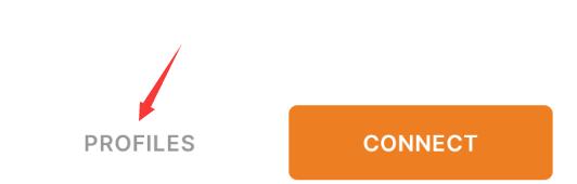 万安科技 iOS OpenVPN 教程 - 步骤5: 查看配置