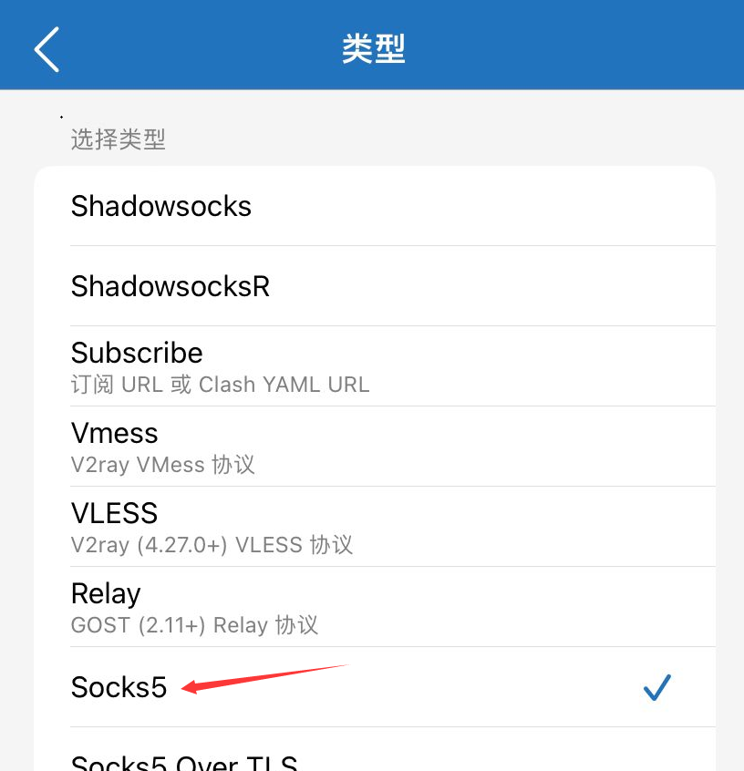 万安科技 iOS SOCKS5 教程 - 步骤3: 类型列表