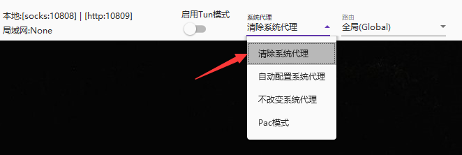万安科技 Windows SOCKS5 教程 - 步骤10: 清除系统代理